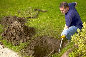 Call before you dig – 811 nationwide