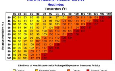 Heat stress: Don’t underestimate the danger